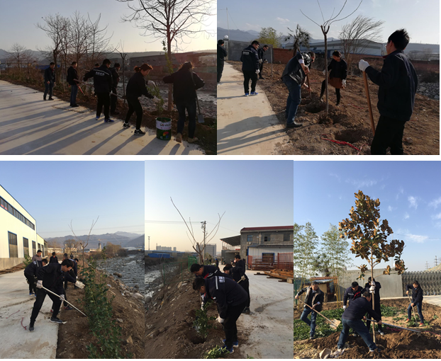 寶雞捷銳“迎春風，綠家園”植樹節(jié)(圖1)