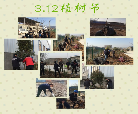寶雞捷銳“迎春風，綠家園”植樹節(jié)(圖3)